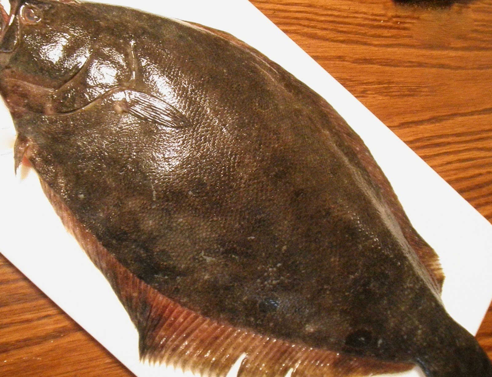 Cecelia Heer's Culinary Corner CRAB AND SHRIMP STUFFED FLOUNDER
