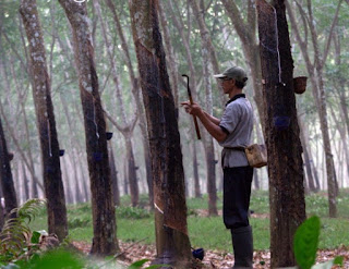 Harga Karet Terkini Harga Karet Terkini