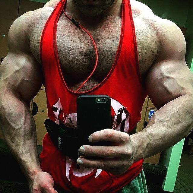 Mikhail Timoshin muscle