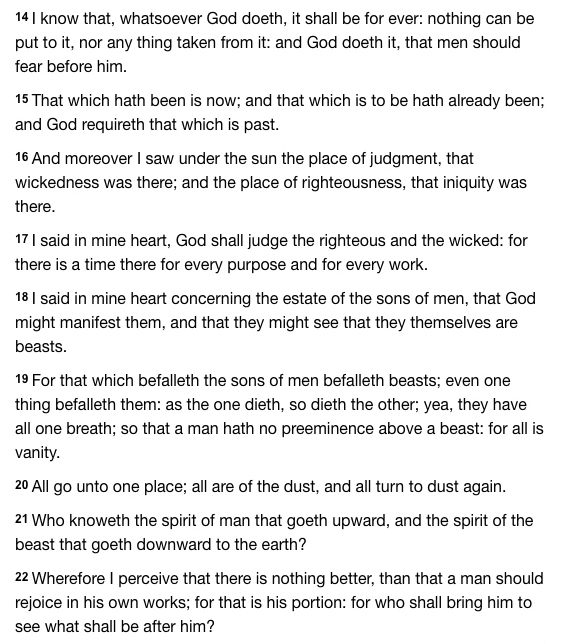 loon pond In which the pond embarks on the neverending story part II, thanks to prattling