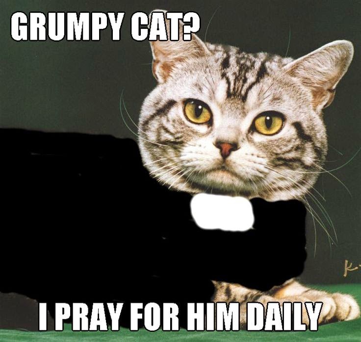 grumpy%2Bcat.jpg