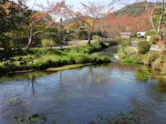 �E�씪�C�E���r