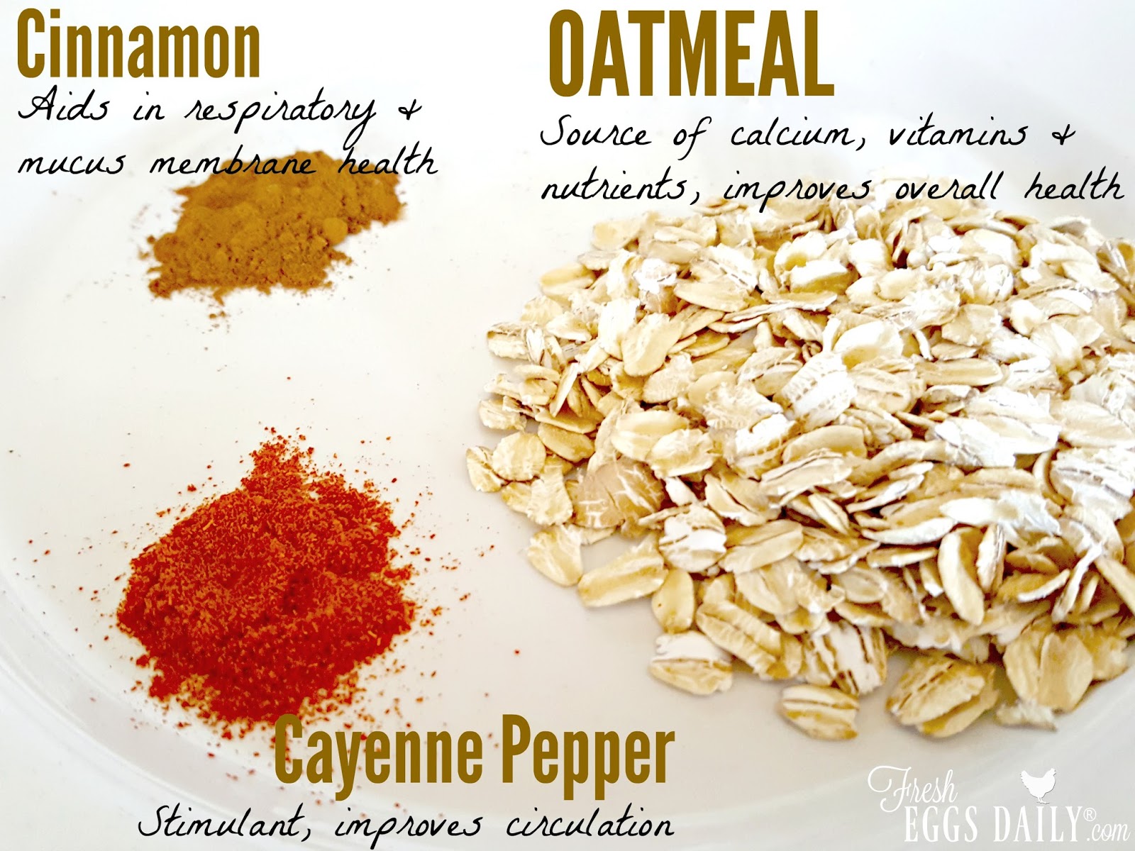 Oatmeal for Chickens Fresh Eggs Daily® with Lisa Steele
