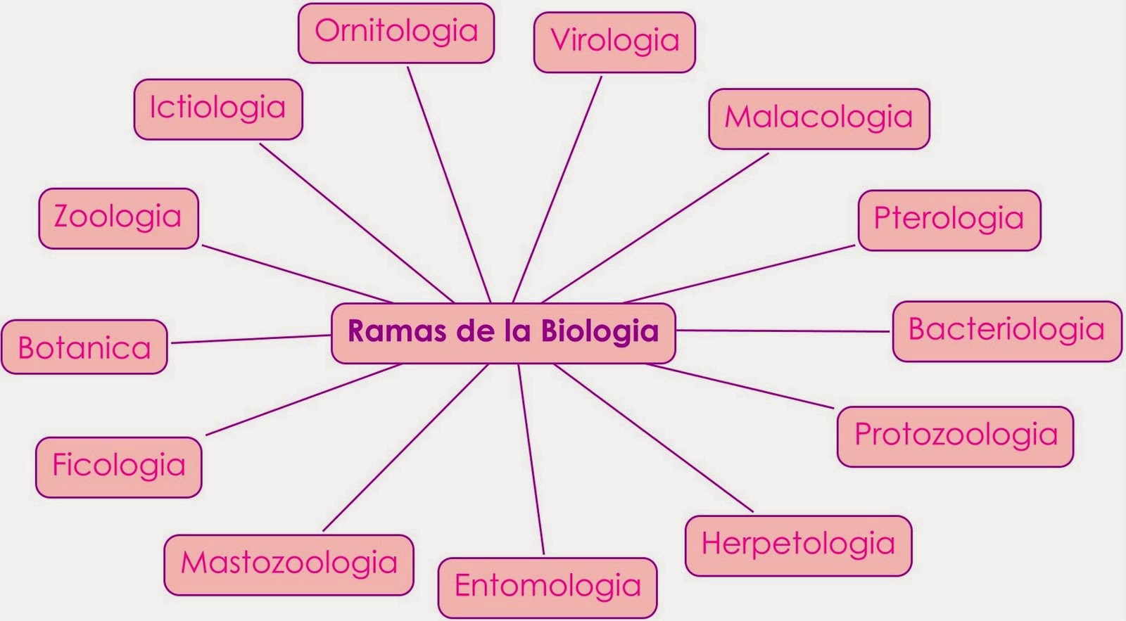 Mapa Conceptual De Las Ramas De La Biologia Geno Images