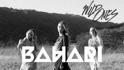 Dowload Lagu Bahari - Wild Ones Mp3