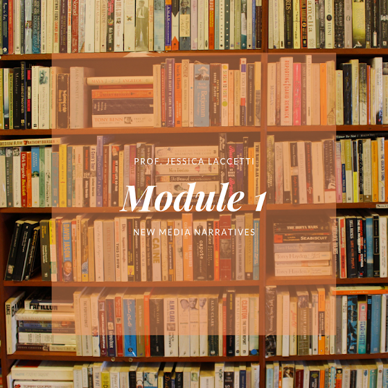 New Media Narratives