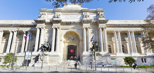 Ştiinţa în vacanţă la Paris (Radioreportaj 209)
