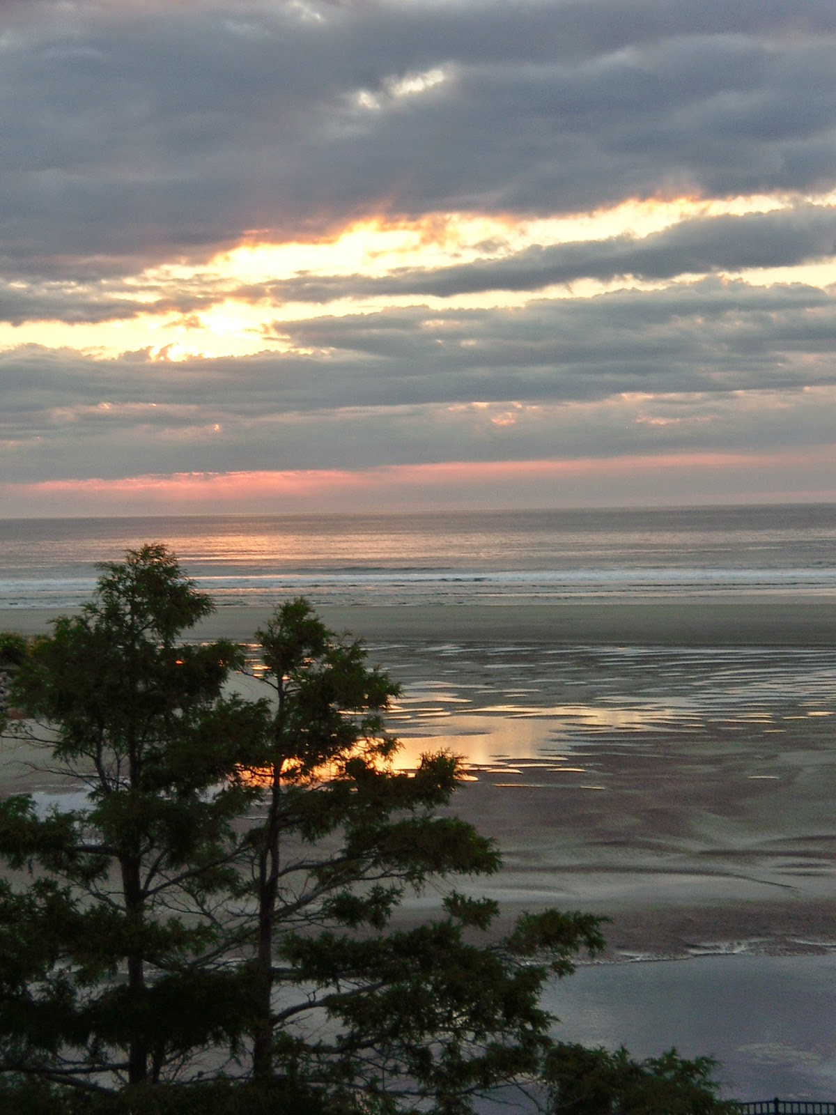 door-number-8-a-gallery-of-photos-ogunquit-maine