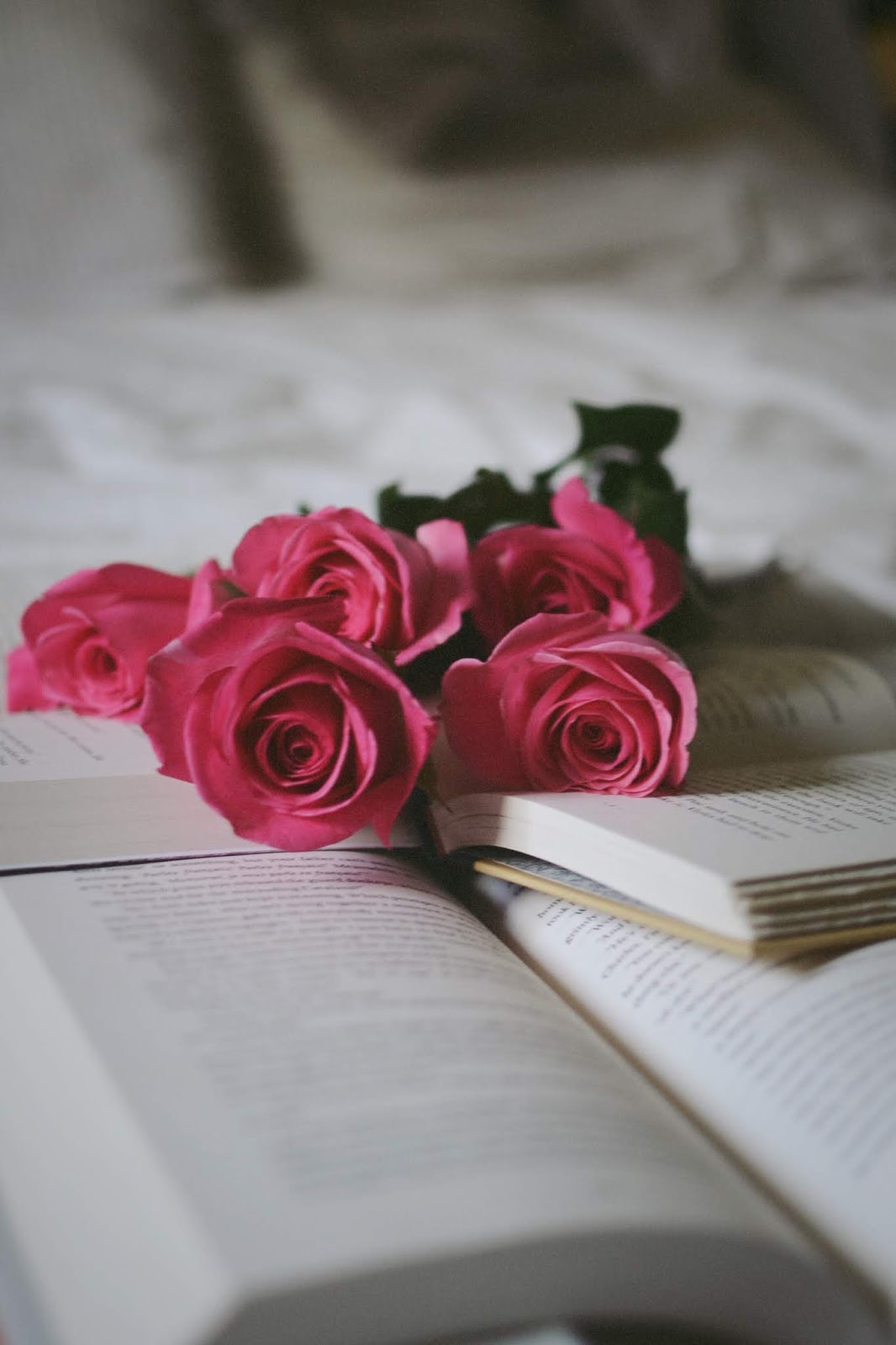 books and roses flower chapters indigo