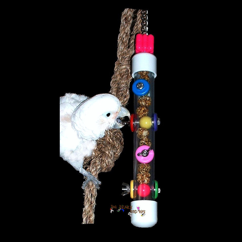 Bird In Everything Bird Foraging