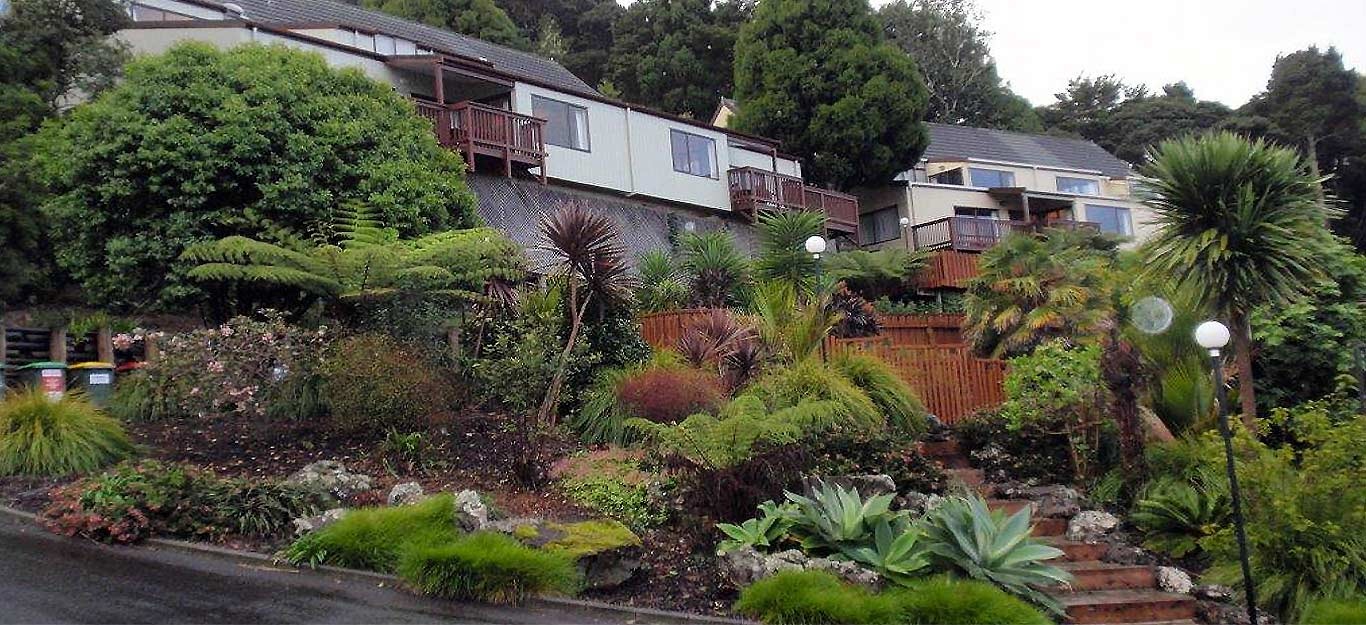 Club Paihia- Resort Living its Best Travel Blog