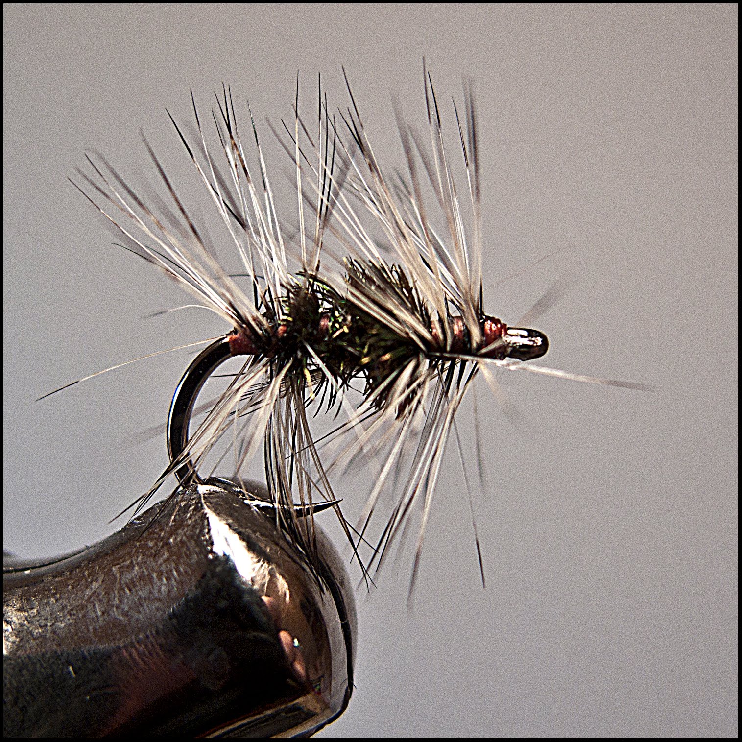 Dry Fly 'Expert': 