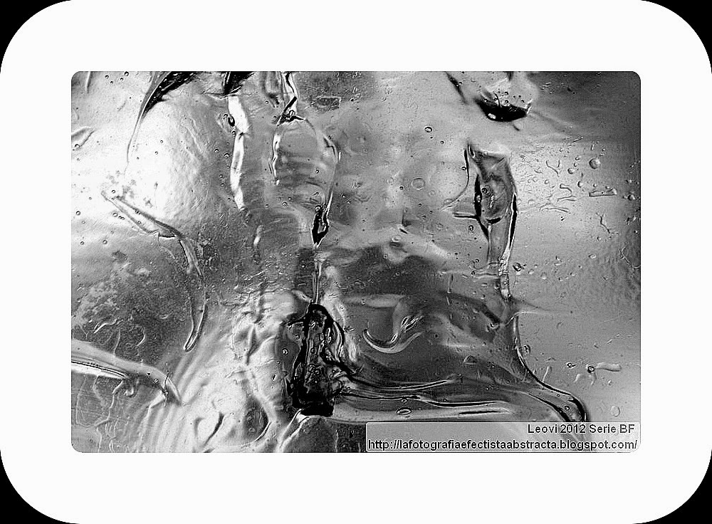 Foto Abstracta 3022 Una brecha de vida en el desierto - A gap of life in the desert Foto Abstracta 3022 Una brecha de vida en el desierto - A gap of life in the desert