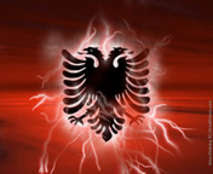 ALBANIAN  FLAG