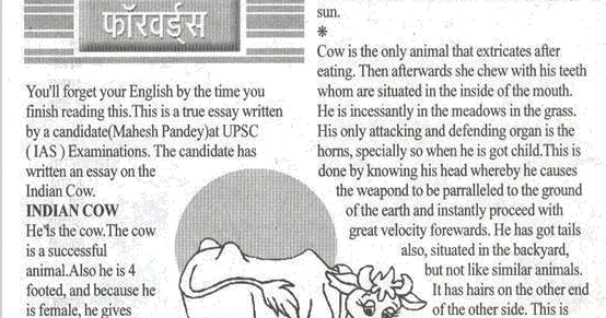 simple essay on cow
