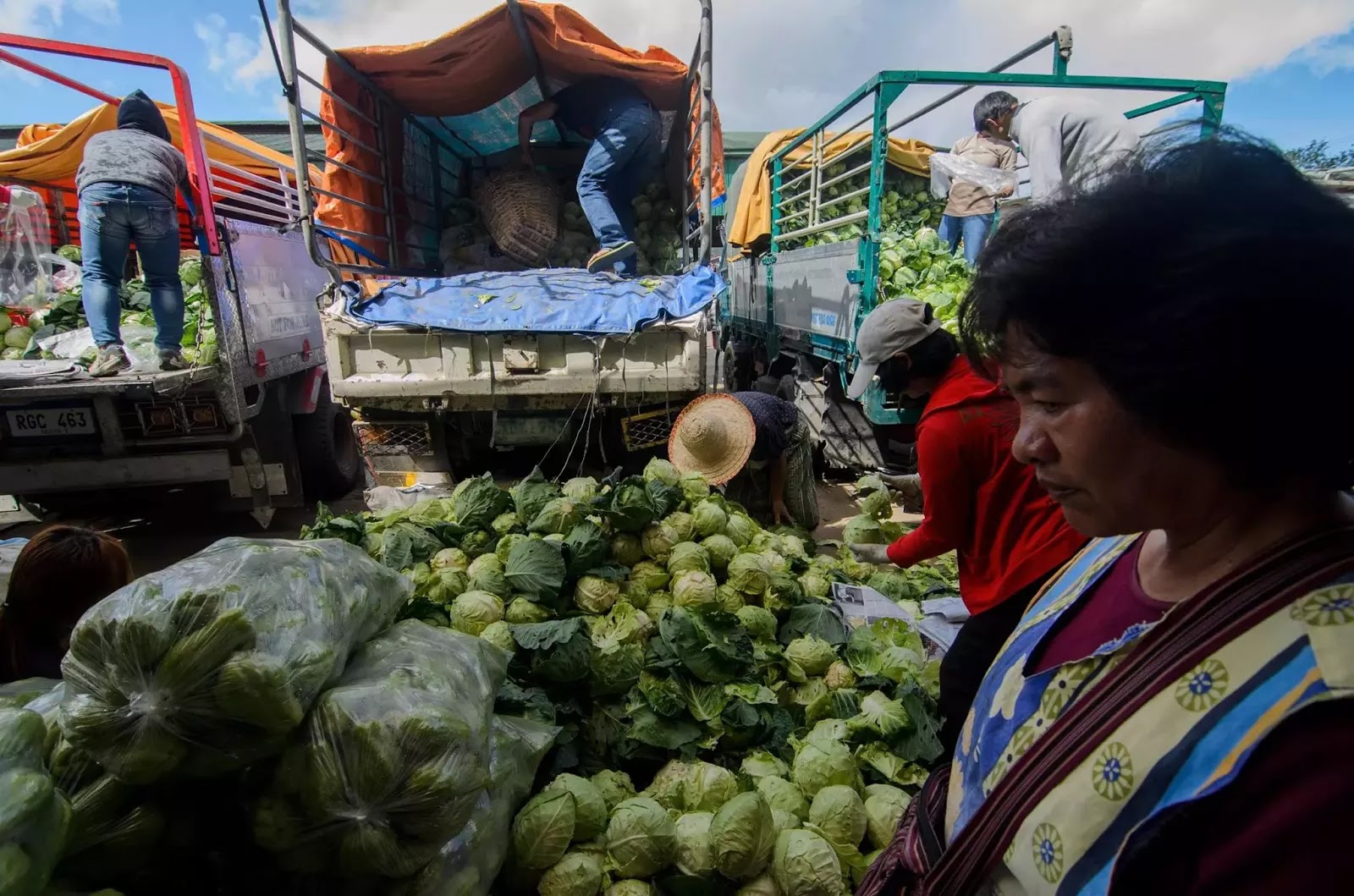Vegetable Porters La Trinidad Benguet & Baguio City | AvianQuests.Com