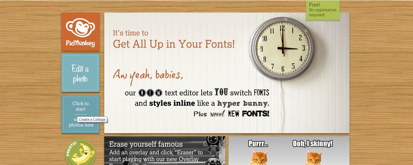 Download Beginner Beans: How to Make a Watermark in PicMonkey