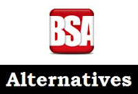 Top 2 best alternatives of buy sell ads network