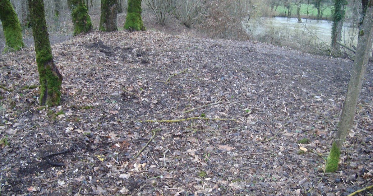 AAPPMA La tanche de Donjeux Nos actions