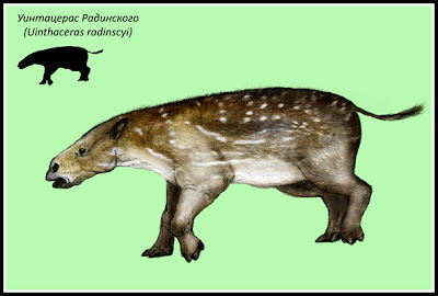 mamiferos antidiluvianos Uintaceras