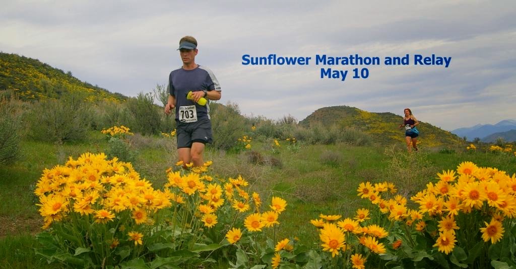 Sunflower Marathon 2024 - Liesa Pamella