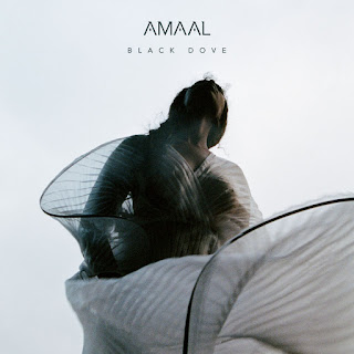 MP3 download Amaal - Black Dove - EP iTunes plus aac m4a mp3