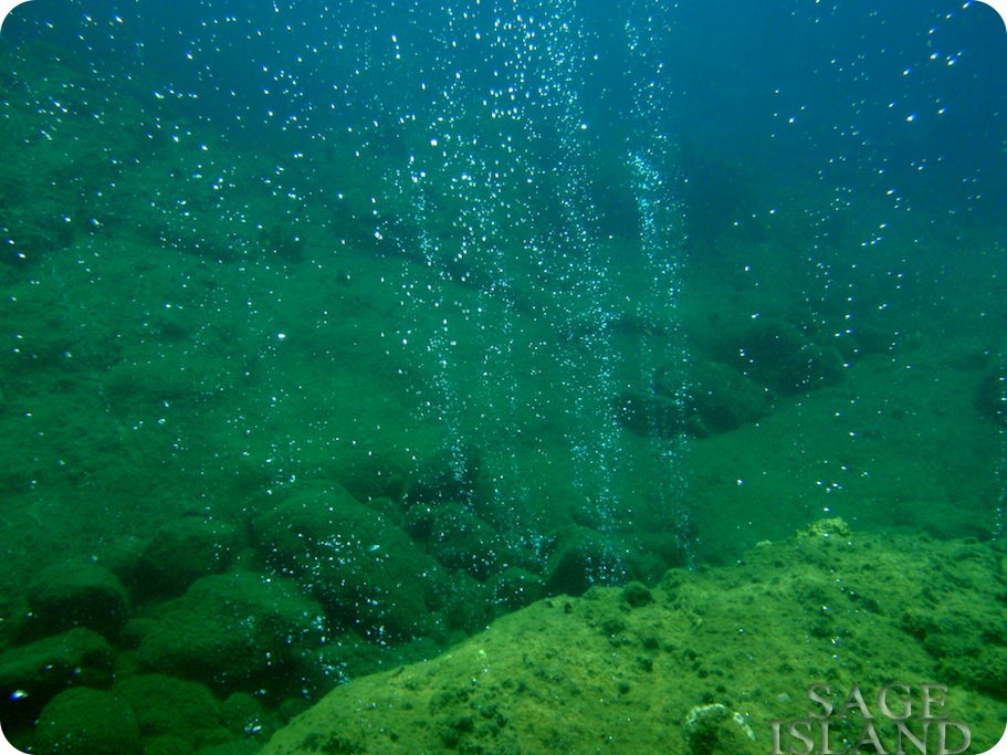 Sage Island: Underwater World