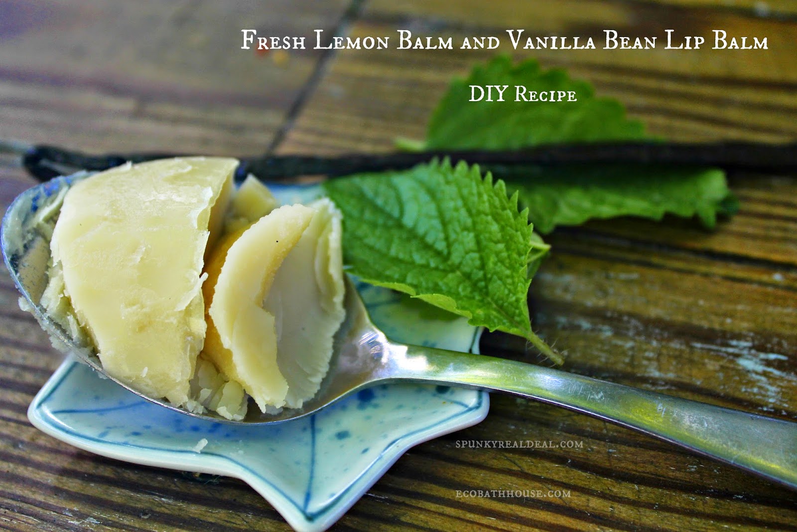 Fresh lip balm recipe {vanilla bean and lemon balm}