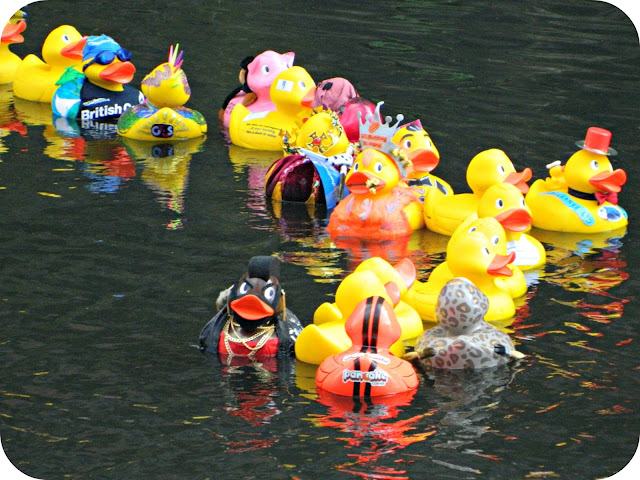 Rubber Ducks Duck Race Fancy Dress Charity SPinningfields Manchester Brainwave