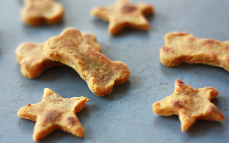 grain free treat recipes easiest grain free treat recipe the pets dialogue grain free treat recipes easiest grain free treat recipe the pets dialogue