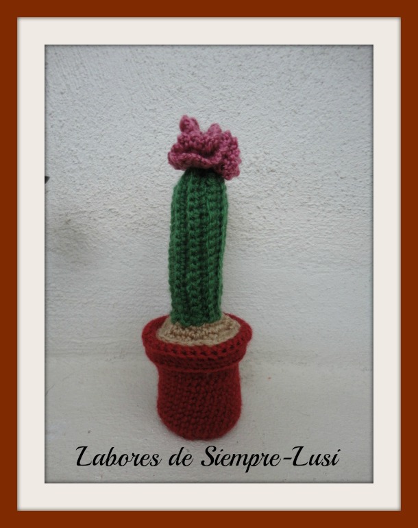 Labores de siempre: Cactus con flor grande