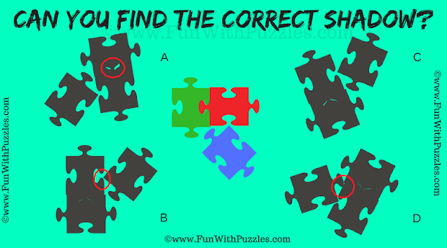 Answer of Shadow Puzzle Challenge: Match Jigsaw Pieces Shadows