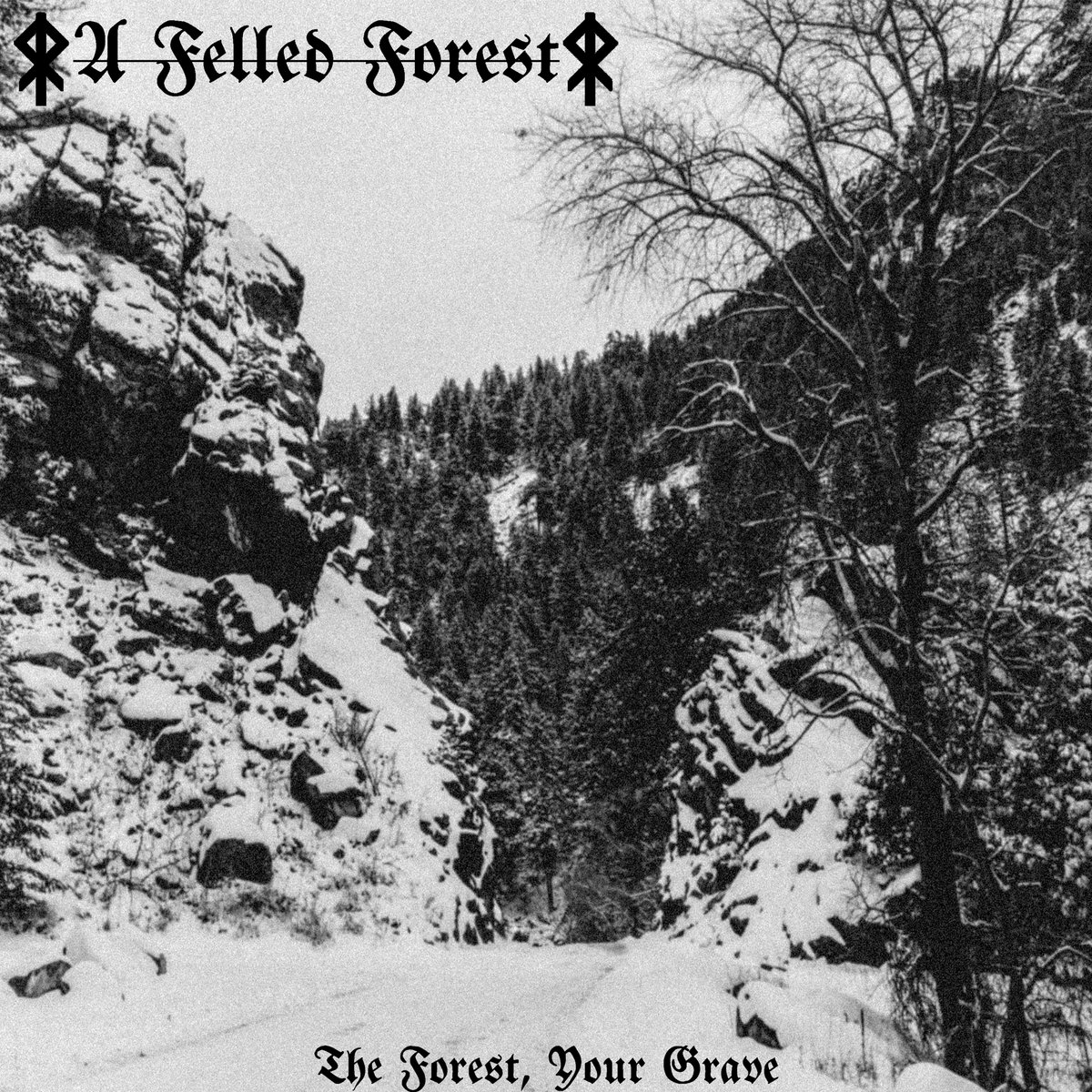 A Felled Forest - "The Forest, Your Grave" - 2023