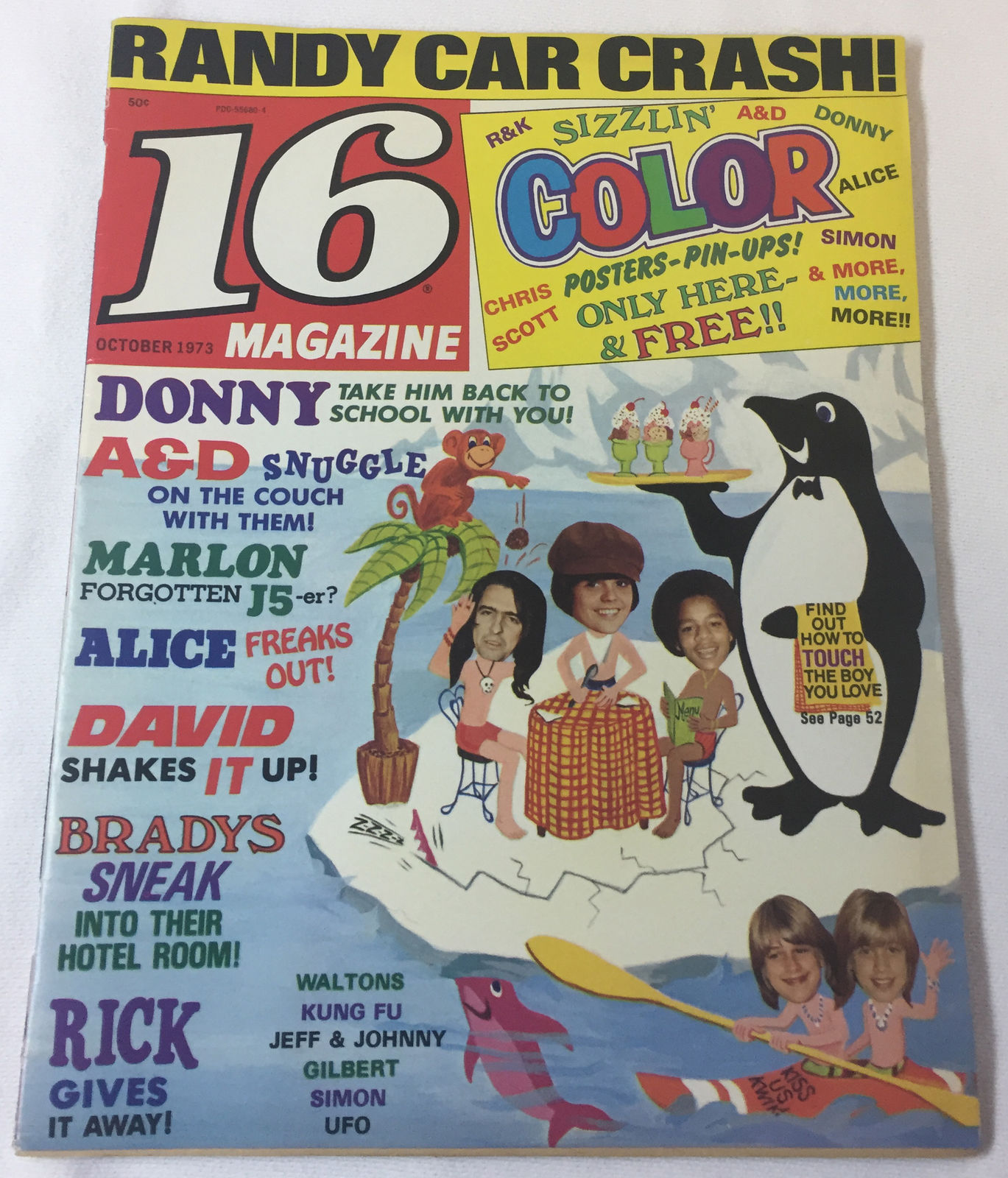 The Brady Bunch Blog: Teen Magazine Covers