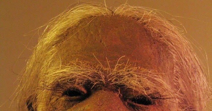 Dna Analysis Reveals Troubling News About Shrunken Heads Propnomicon: Preserved Shrunken Head