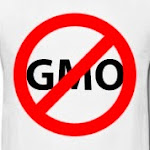 NO GENETICALLY MODIFIED FOOD