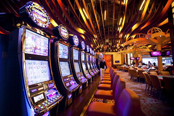 cool cat casino no deposit bonus 2019 word bingo gratis