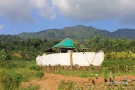 Makam Syekh Maja Suta Petungkriyono Pekalongan