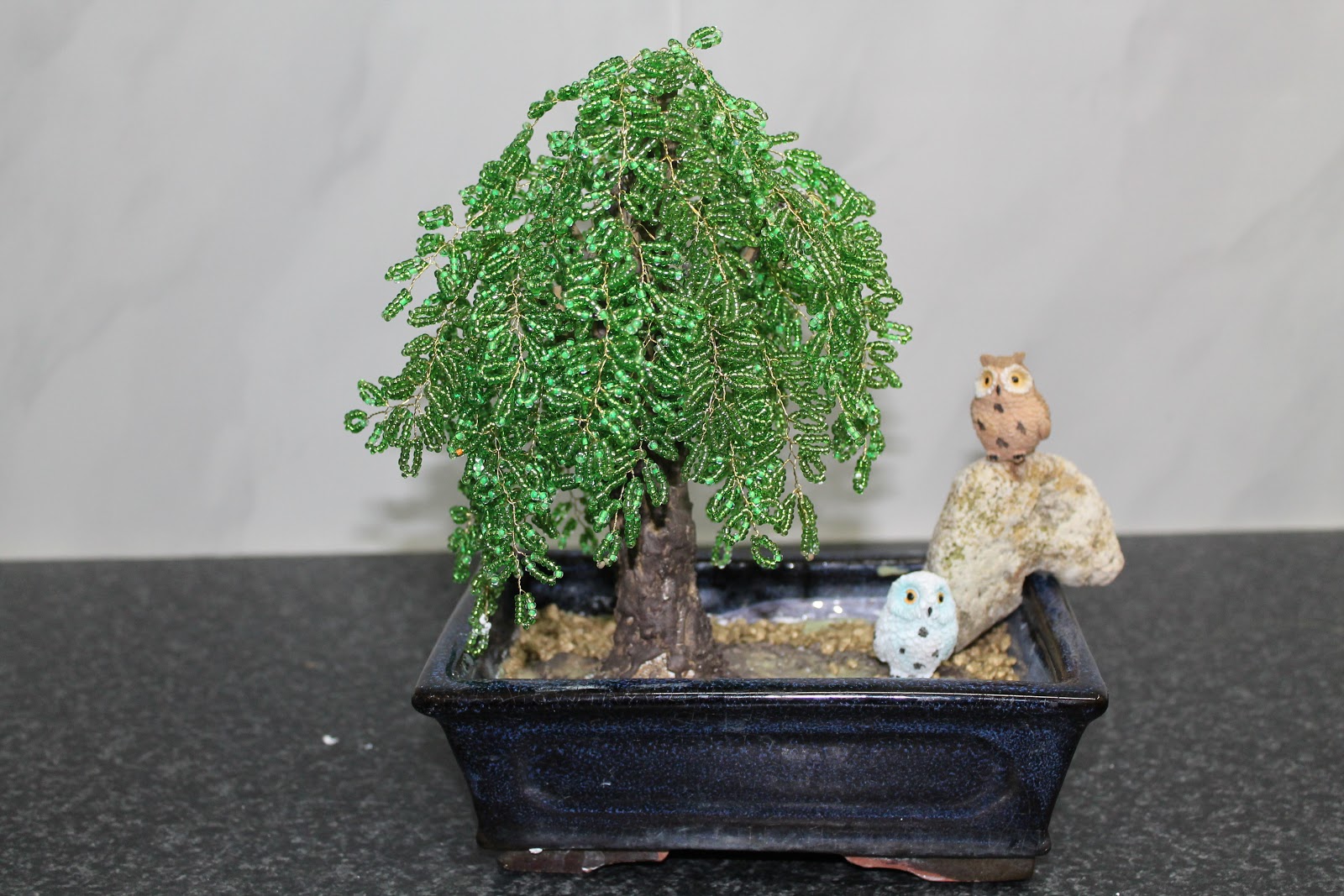 RESTAURANDO; Con ganas, paciencia y tiempo. BONSAI SAUCE LLORON