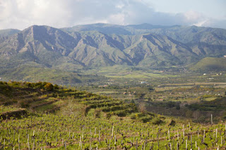 Italian Red Wines from the slopes of Mt Etna