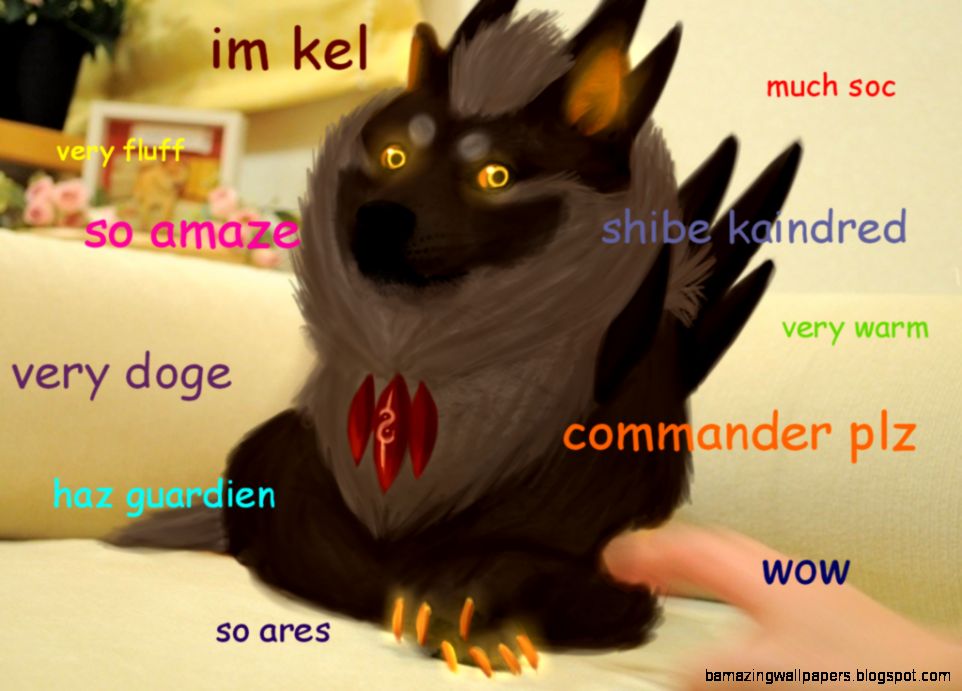SOC   Shibe Doge Kel Wow by Dante Aran on DeviantArt
