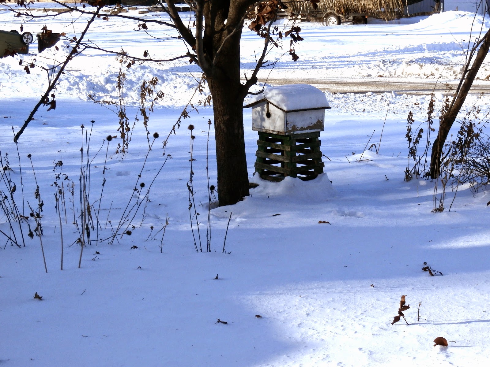 Slow As Molasses In January at Kyle Boyd blog