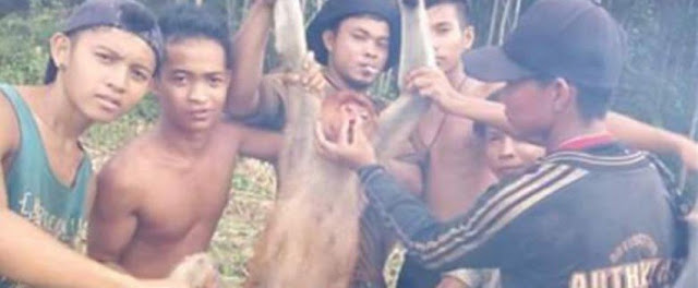 Bangga Pamer Hasil Berburu Hewan Langka 6 Pemuda Kini Jadi Buronan Polisi Bangga Pamer Hasil Berburu Hewan Langka 6 Pemuda Kini Jadi Buronan Polisi