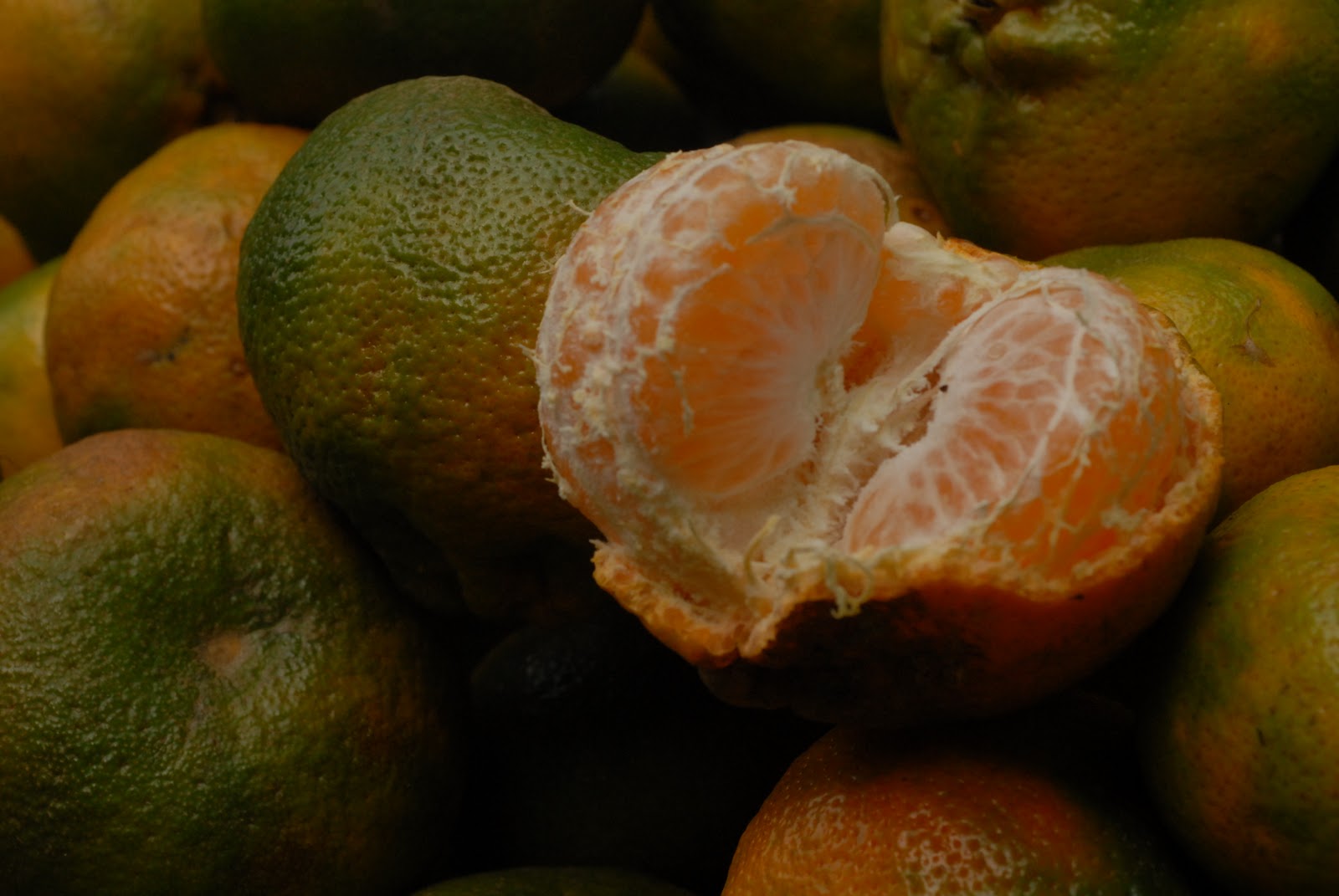 KANUTTO FUENTES PHOTOGRAPHY Quepos, Costa Rica Farmers Market