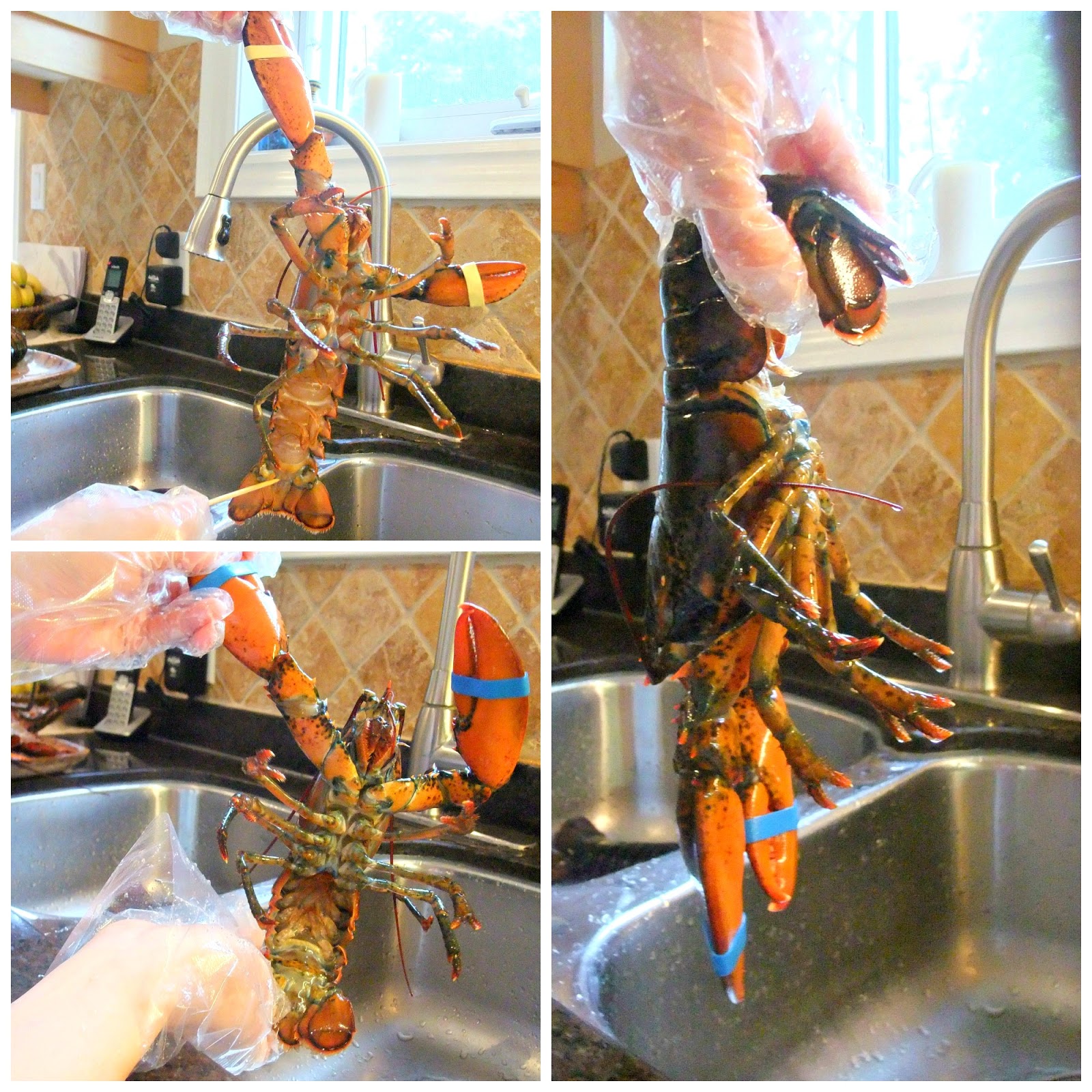 Susan's SavourIt! Steamed Lobsters in Garlic Butter...