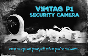 Vimtag P1 Security camera