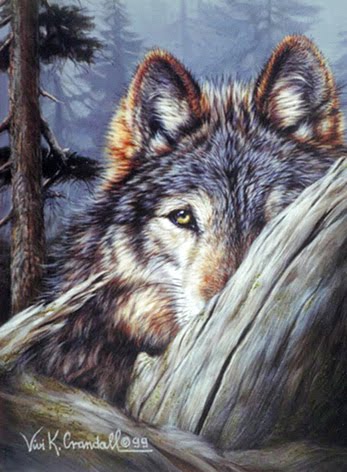 White Wolf : Vivi Crandall - Brilliantly talented German wildlife artist