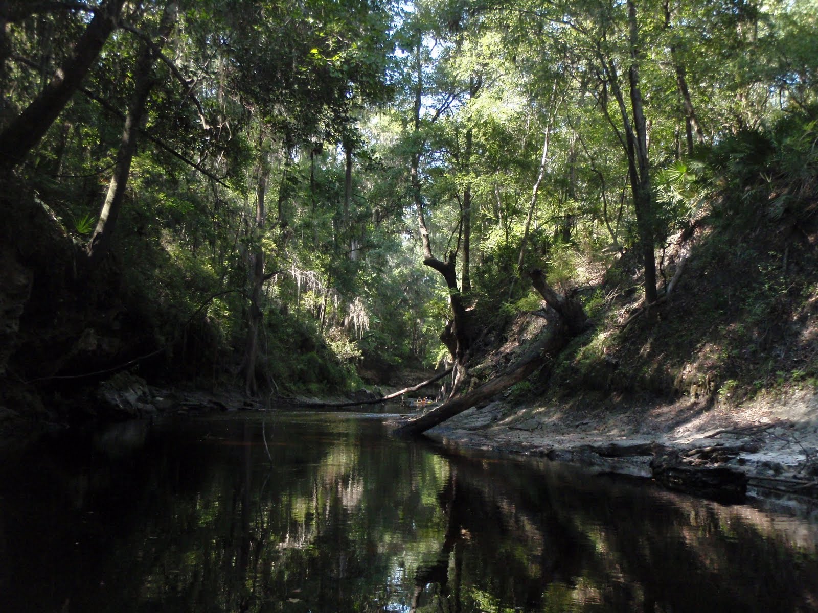 SOUTH KAYAK FISHING Alapahoochee convergence at Alapaha River