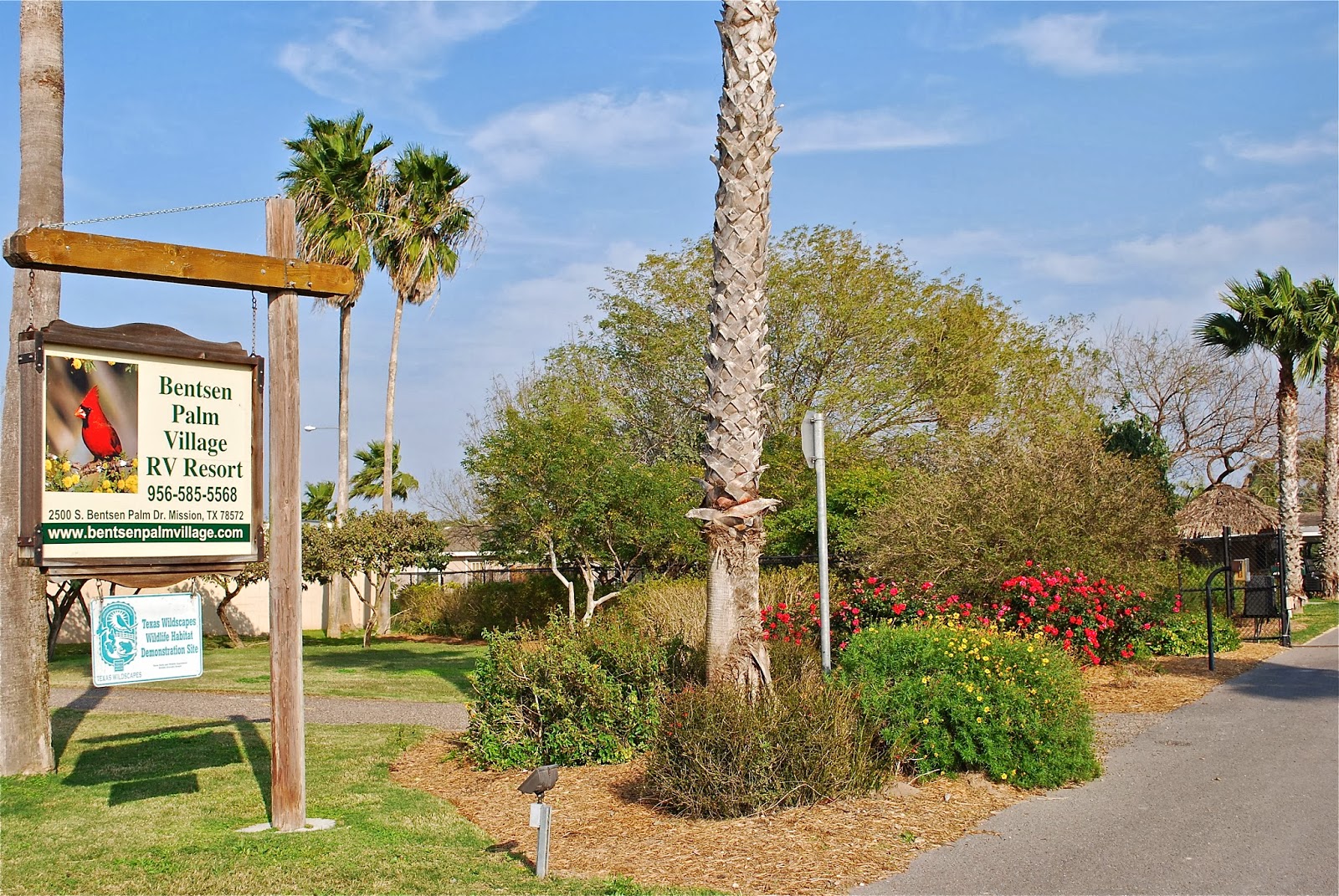 BLUE SKY AHEAD Bentsen Palm Village RV Resort, Texas