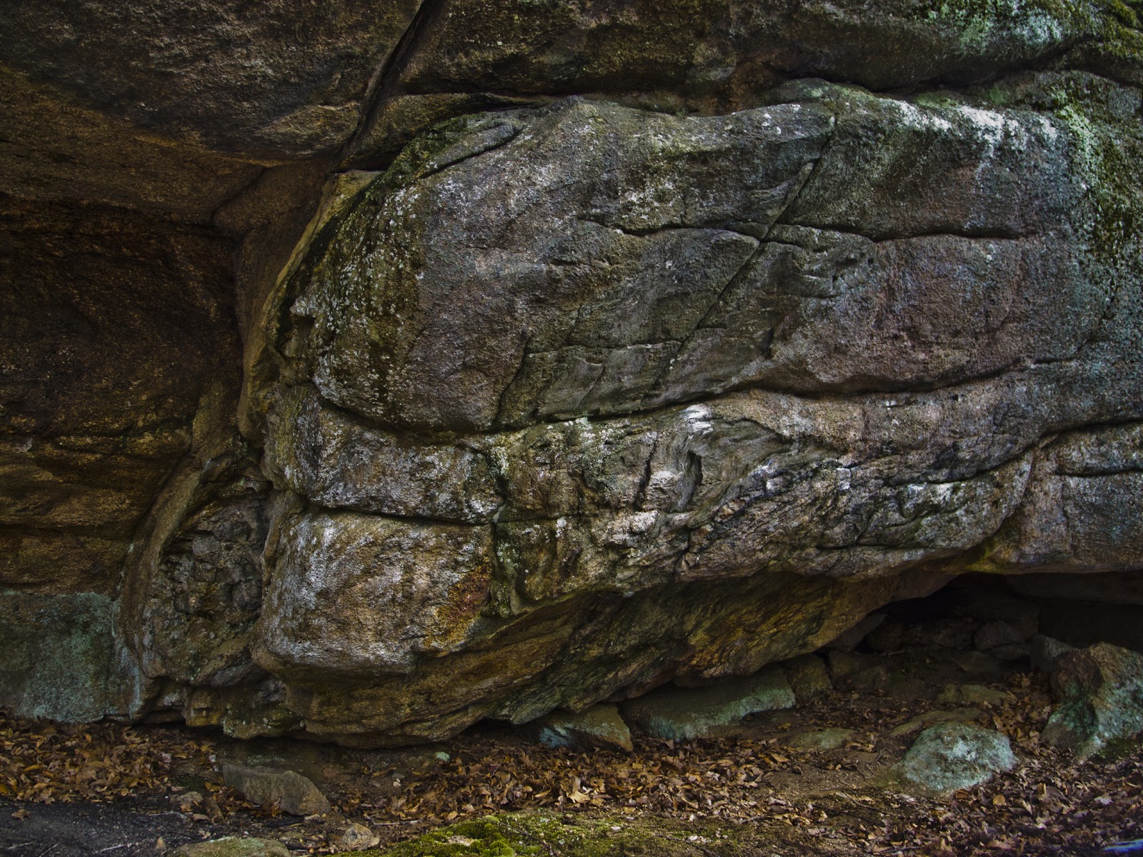 Connecticut Explorer: Hiking the Westwoods Land Trust in Guilford CT
